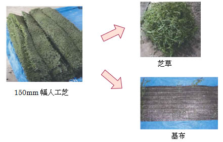 150mm幅人工芝を芝草と基布に切り離す