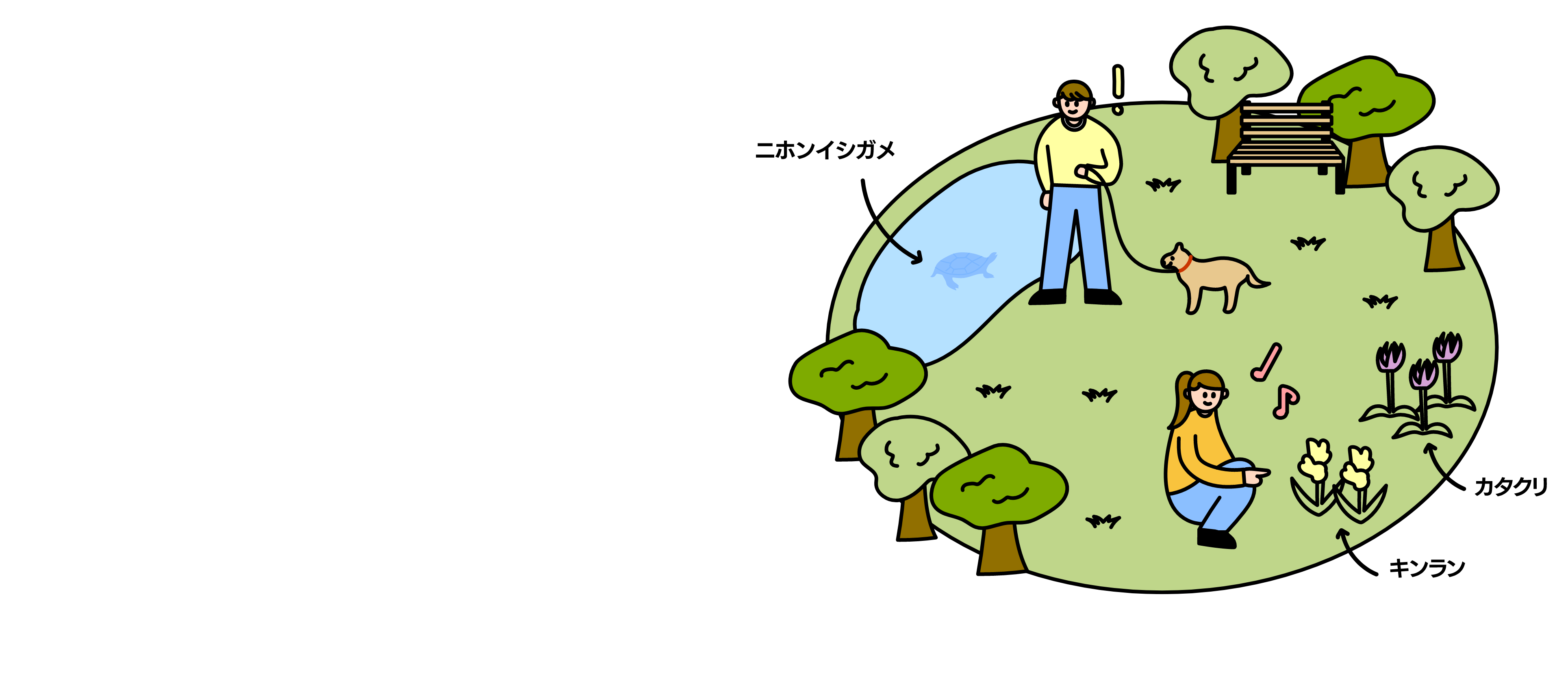 普段の生活で身近にある自然のイメージ