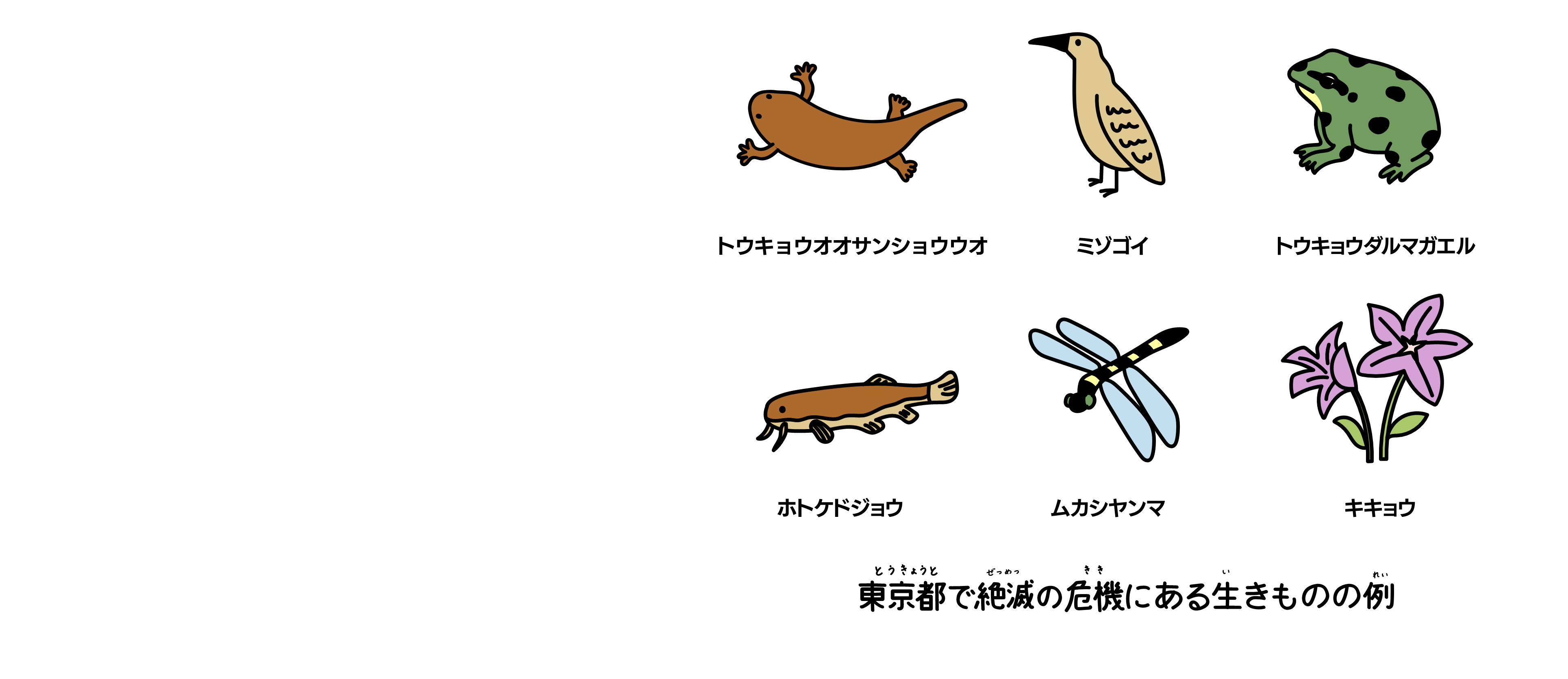 東京で絶滅の危機にある生きものの例（トウキョウサンショウウオ・ミゾゴイ・トウキョウダルマガエル・ホトケドジョウ・ムカシヤンマ・キキョウ）