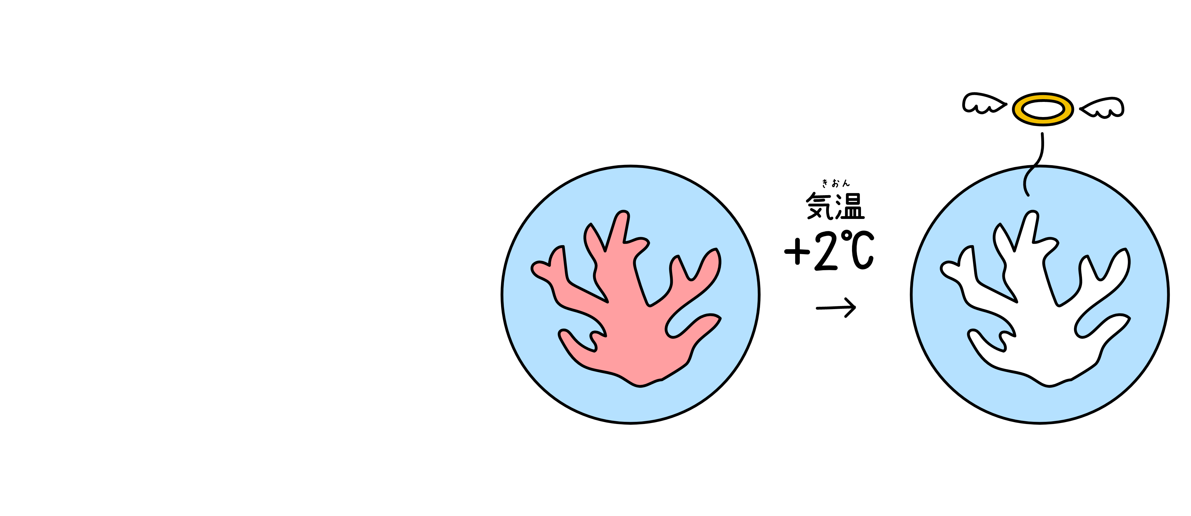 サンゴ礁が気温の変化で弱っている様子