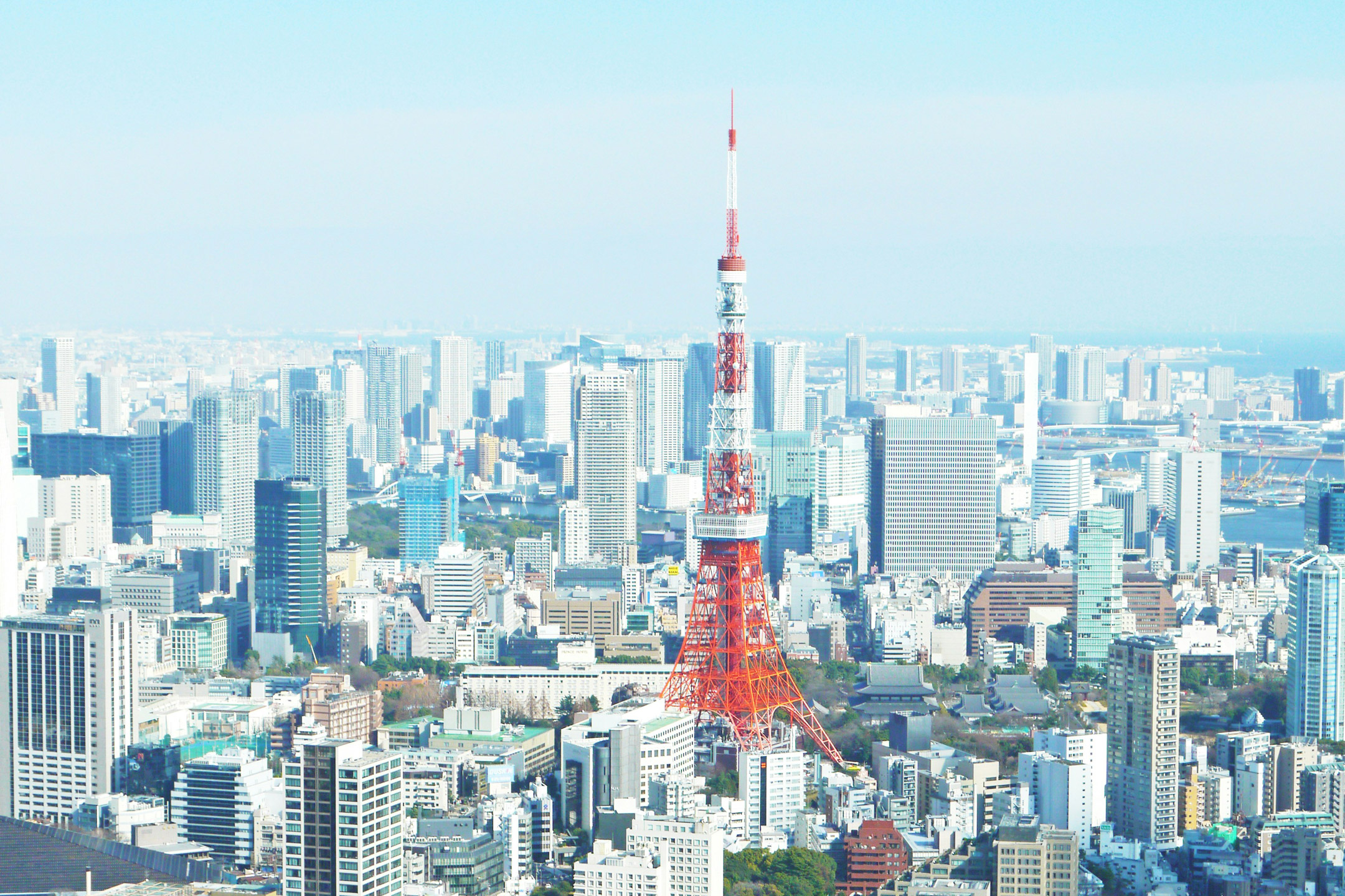 東京都気候変動適応センター 東京都気候変動適応センター
