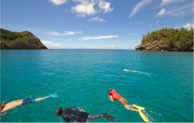 Several people are enjoying snorkeling in the Bonin Blue waters.