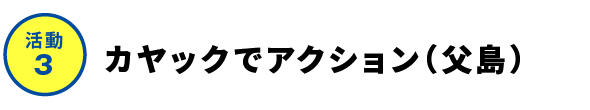 活動2-大村海岸でアクション（父島）