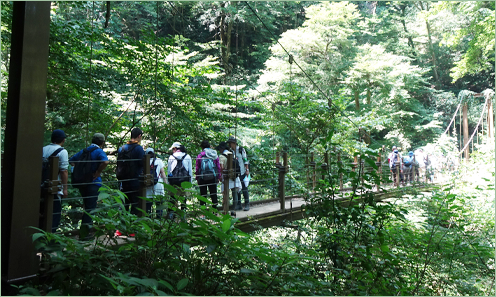 小学校教員向け環境教育研修会
