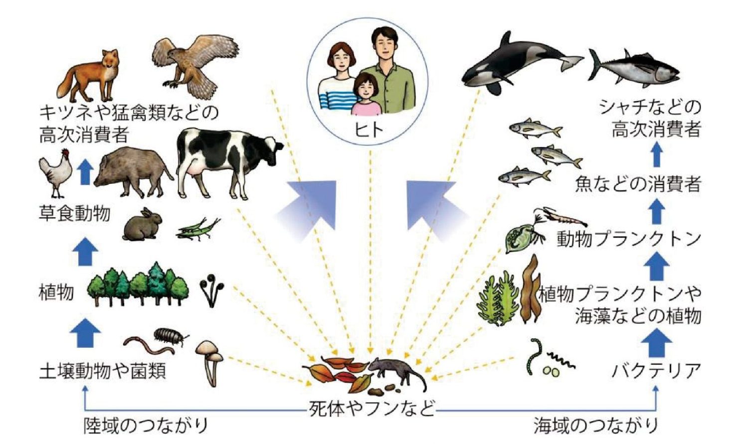 E01_生きもののつながり_★計画課許諾必要