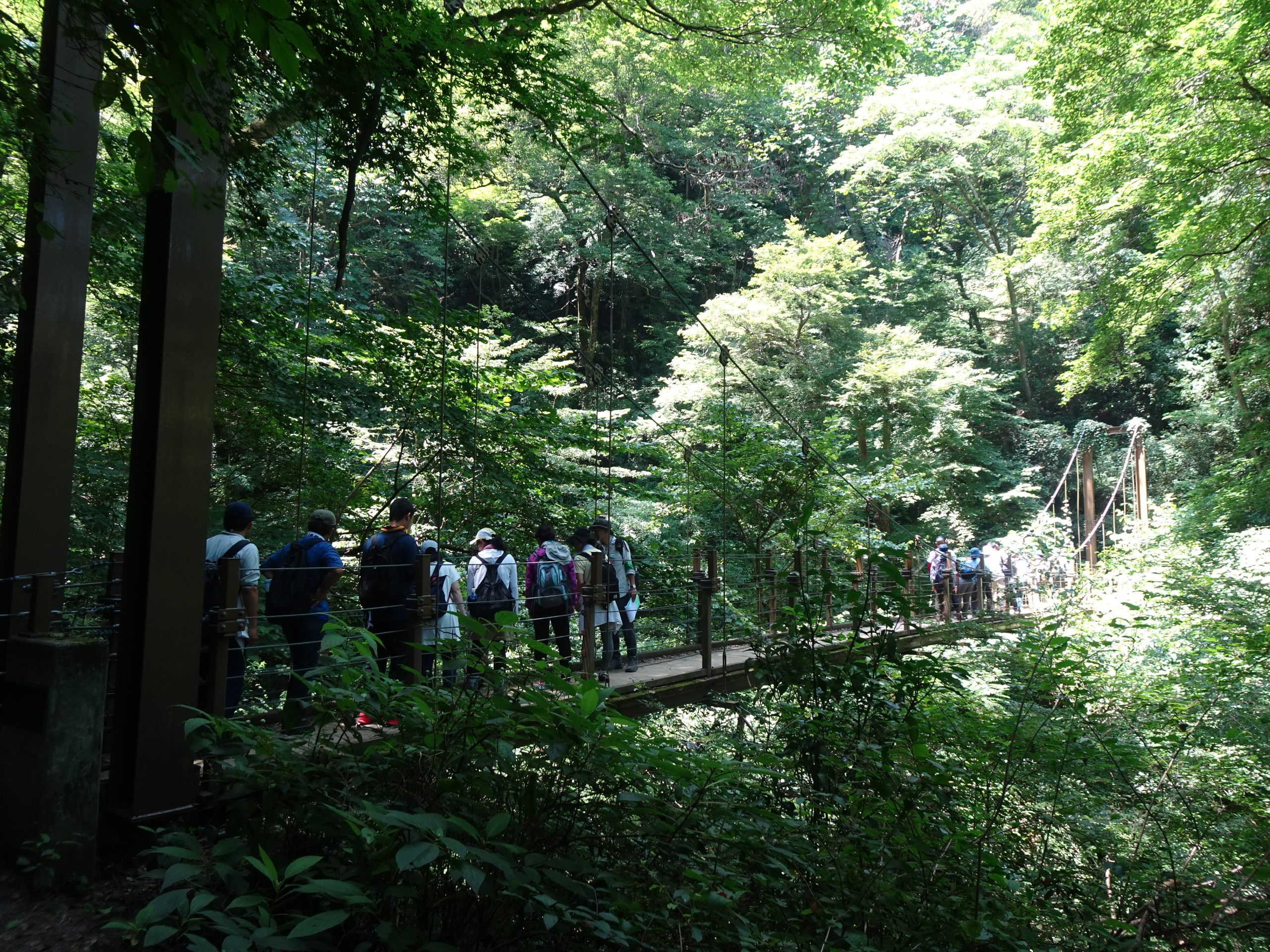 小学校教員向け研修会の様子の写真