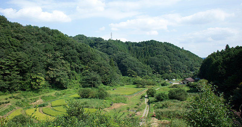 保全地域の維持管理等業務について