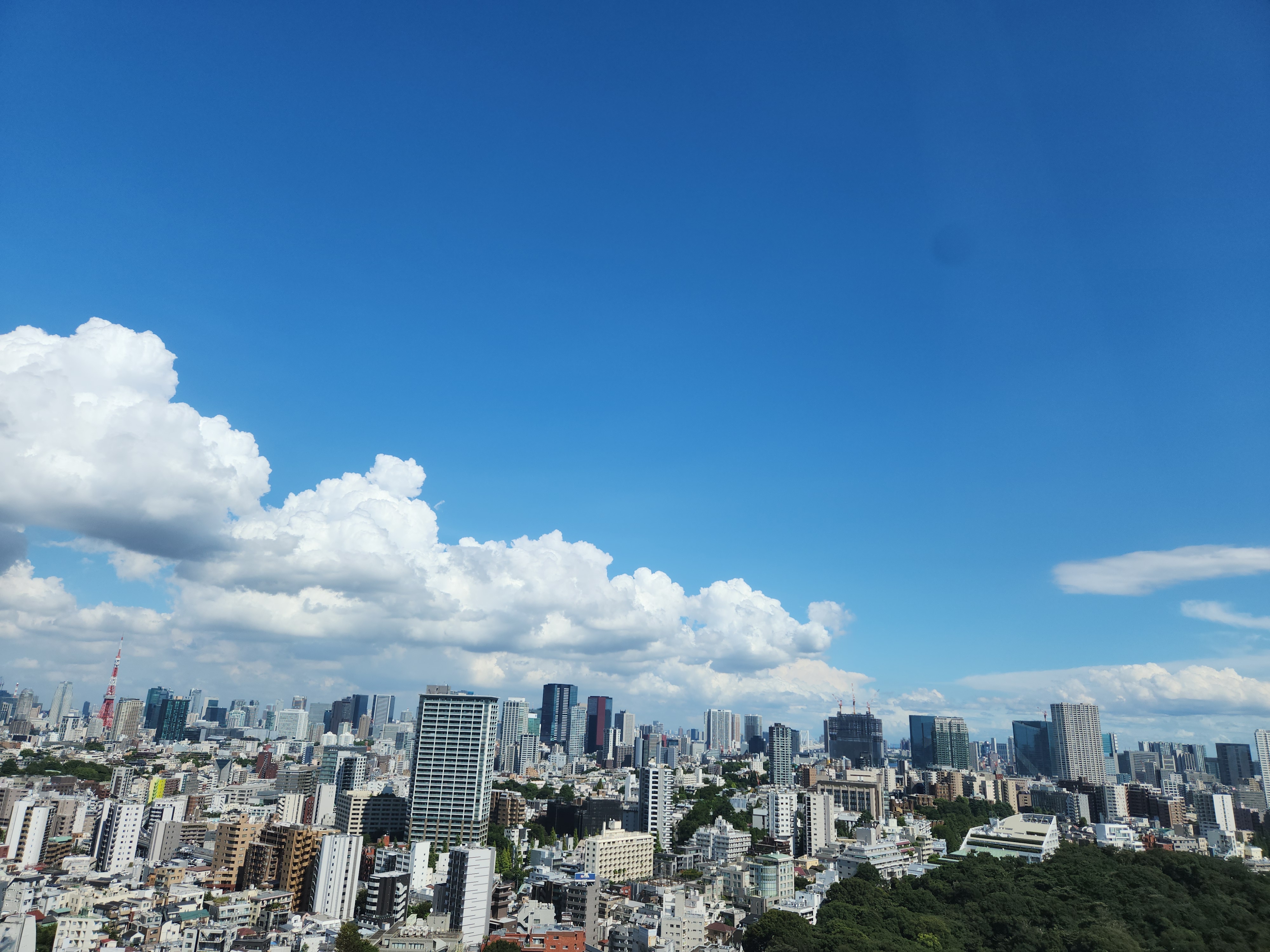東京の青空と街並みの写真