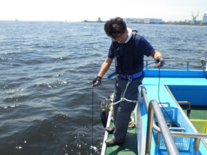 東京湾でのフィールドワークを行う石井さんの写真