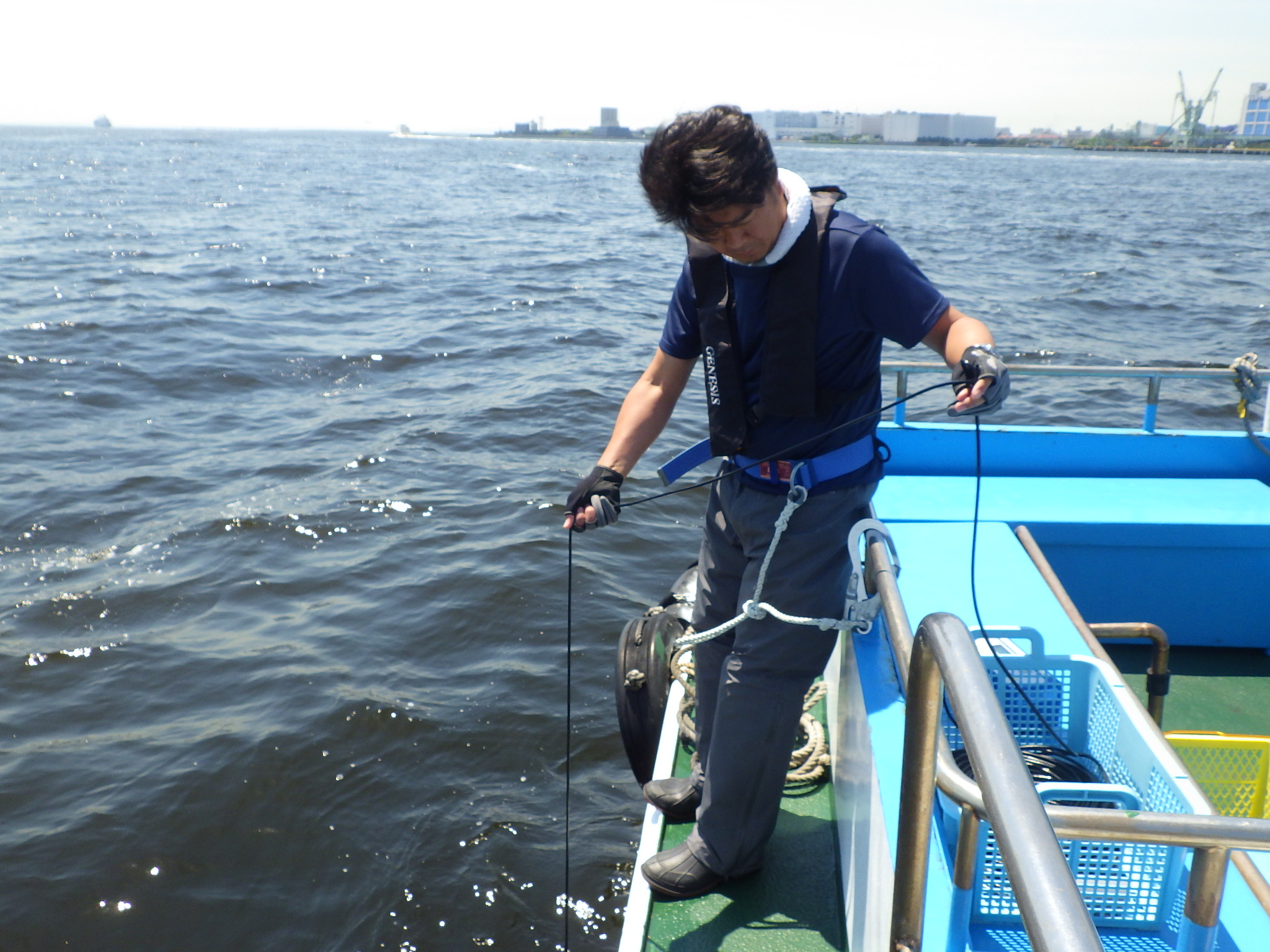 東京湾でのフィールドワークを行う石井さんの写真