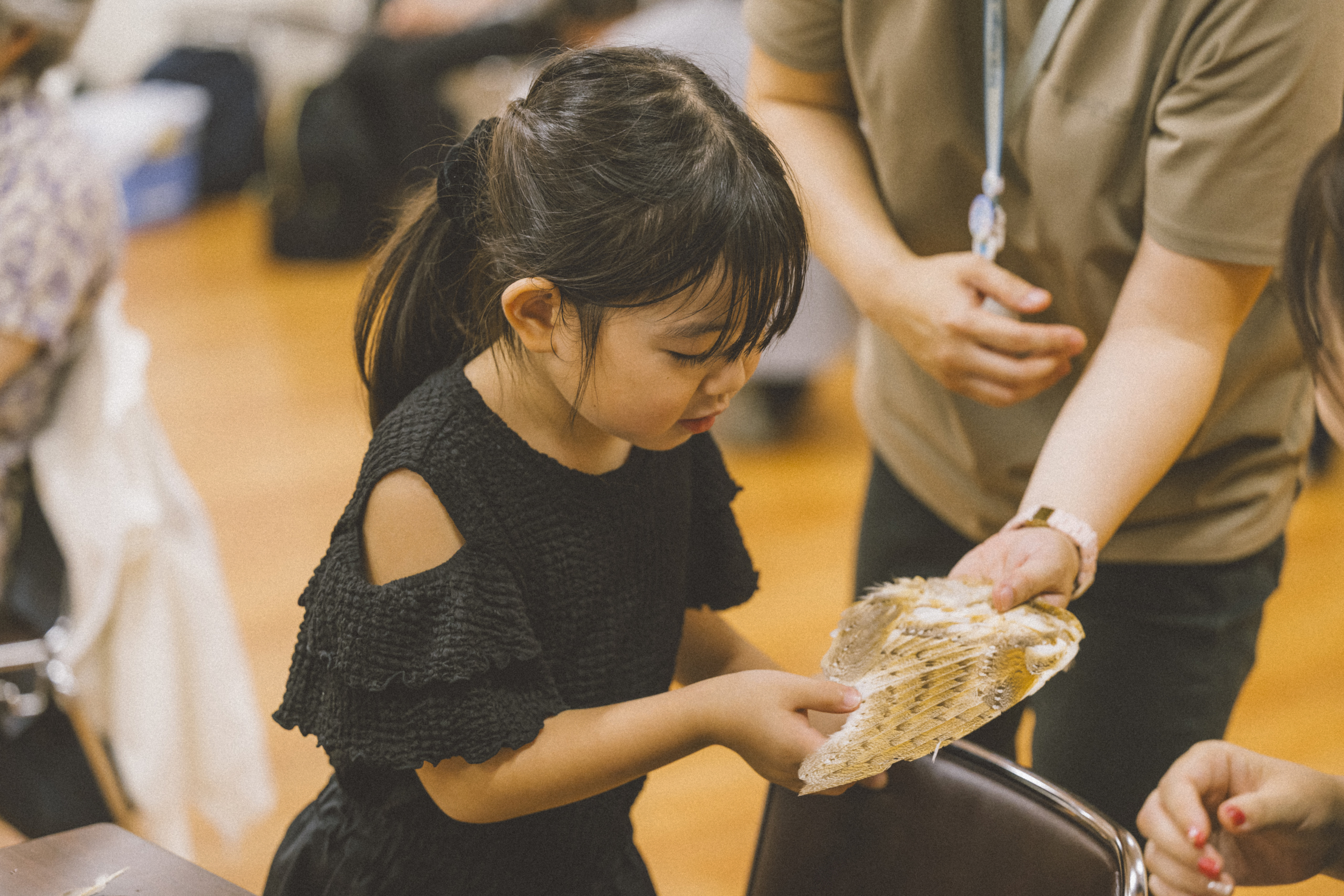 まおさんがフクロウの羽を触っている様子の写真